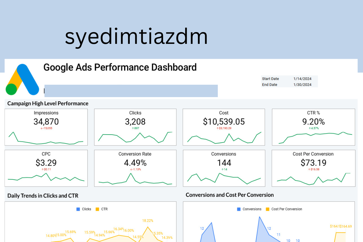 Google Ads Portfolio Dashboard for Hair Transplant Clinics